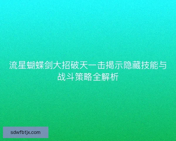 流星蝴蝶剑大招破天一击揭示隐藏技能与战斗策略全解析