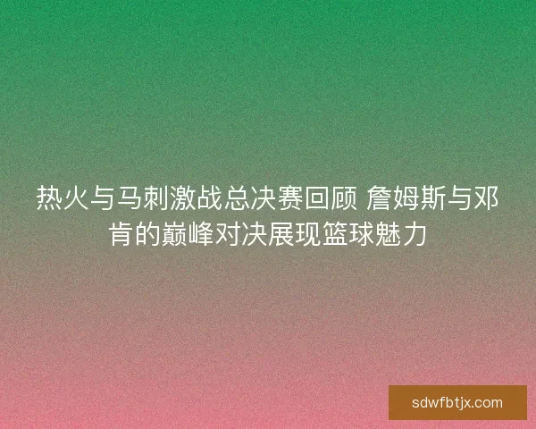 热火与马刺激战总决赛回顾 詹姆斯与邓肯的巅峰对决展现篮球魅力