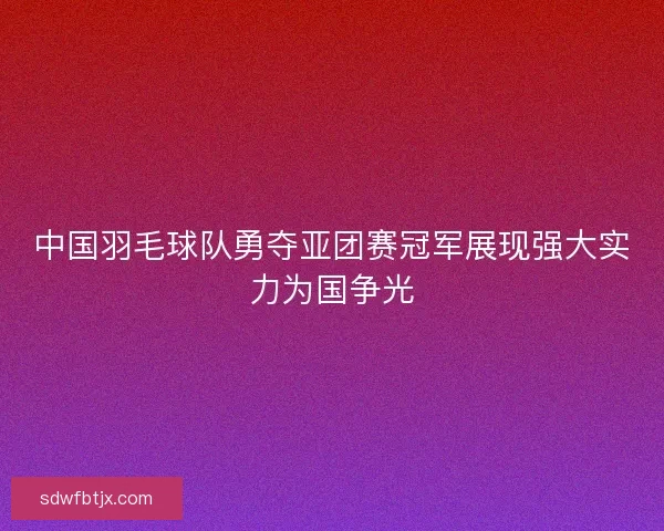 中国羽毛球队勇夺亚团赛冠军展现强大实力为国争光